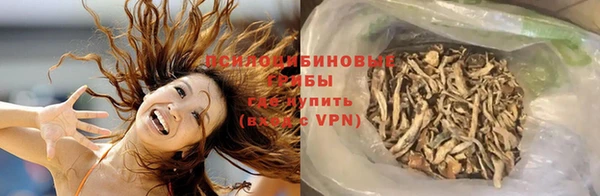 прущие крисы Няндома