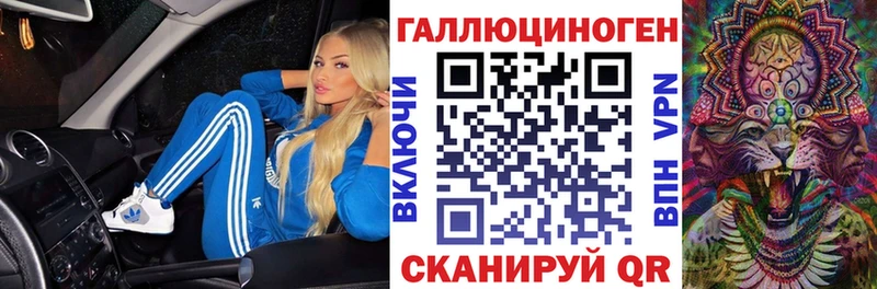 площадка телеграм  Мурино  Галлюциногенные грибы Psilocybe 