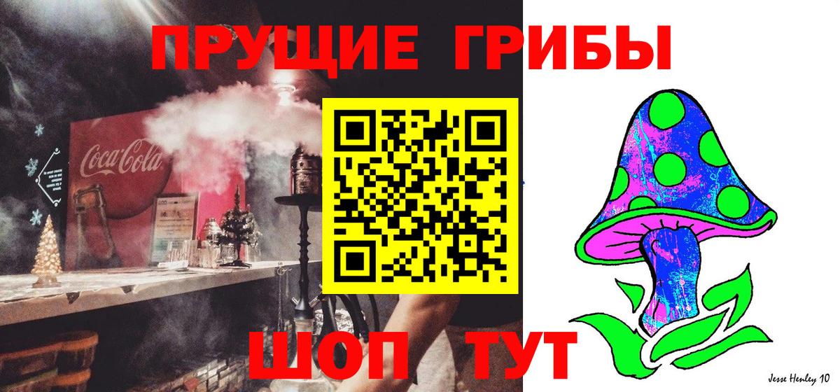 Мурино  как найти наркотики  Вход с VPN  Галлюциногенные грибы прущие грибы 
