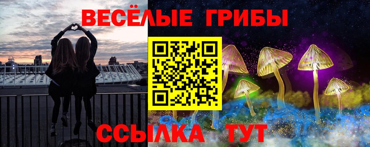 Галлюциногенные грибы Cubensis Мурино