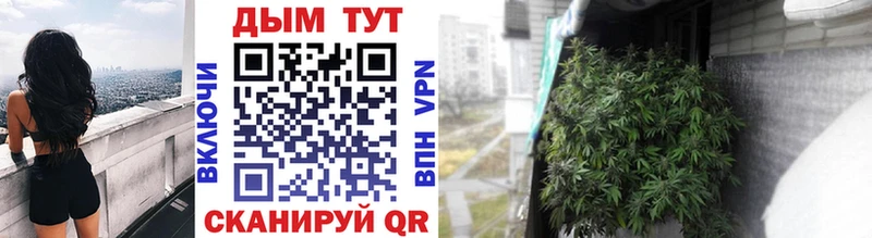 Бошки марихуана SATIVA & INDICA  Мурино 